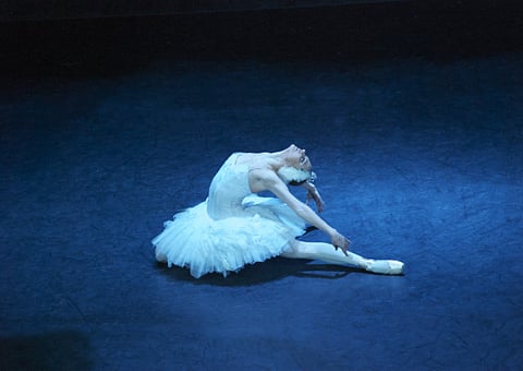 Swan Lake coming to Dubai