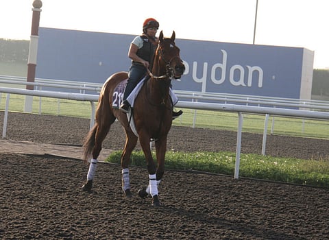 Courtesy: Dubai Racing Club