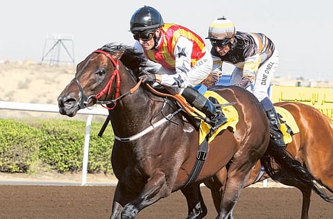 Atiq-ur-Rehman/Gulf News