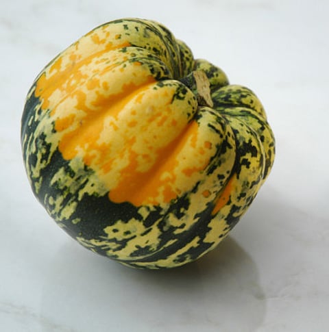 Food and Drink / Rex Features