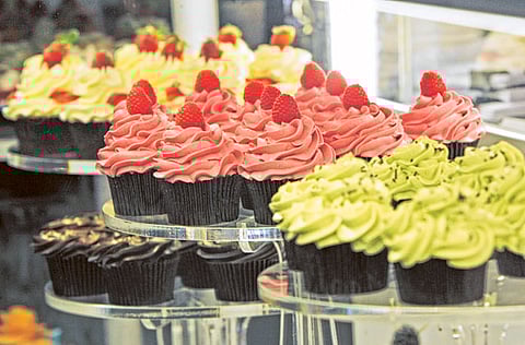 Clint Egbert/Gulf News