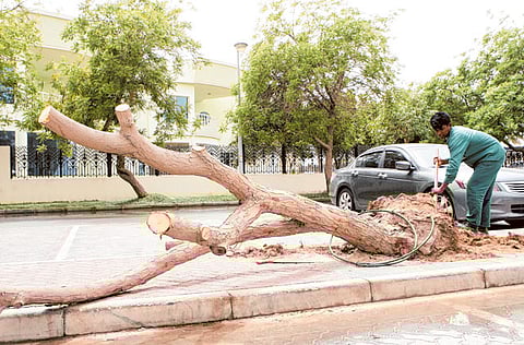 Zarina Fernandes/Gulf News