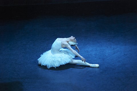 Swan Lake in Dubai: Ticket details out