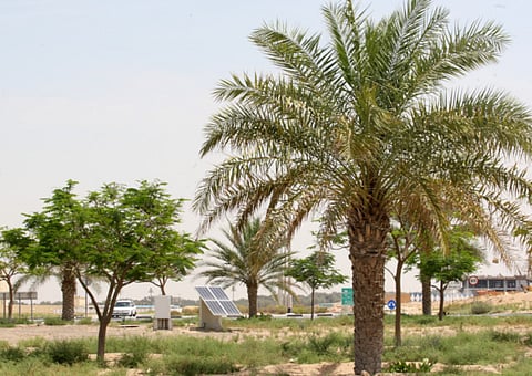 XPRESS/ Zarina Fernandes