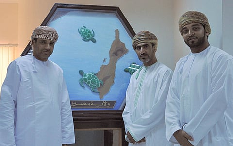 Awareness drive to protect turtles in Oman