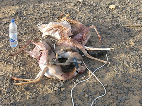 Ministry of Environment and Climate Affairs