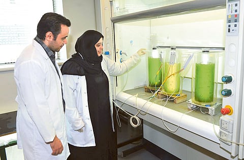 Couresty: UAE University