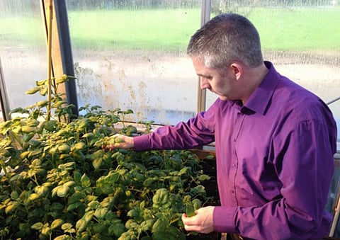 Adrian Higgins/Washington Post