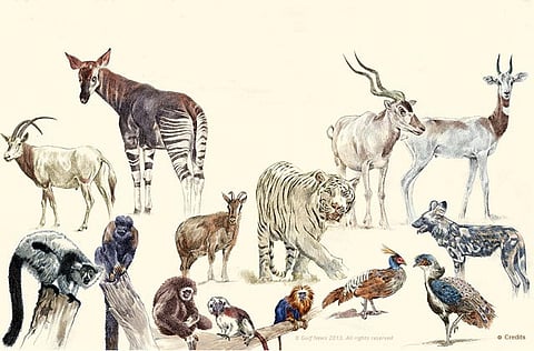 Jacob Hernandez/Gulf News