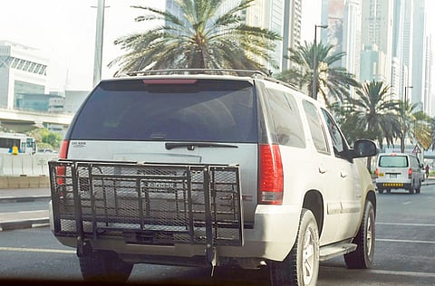 Clint Egbert/Gulf News