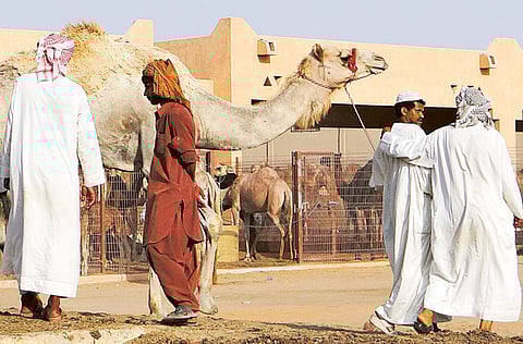 Aftab Hussain Kazmi/Gulf News