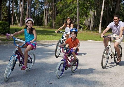 Monkey Business Images / Rex Fea