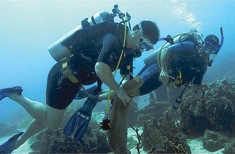 Courtesy: Abegail Bokingo