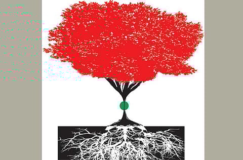 Hugo A. Sanchez/©Gulf News