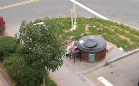 Laziness is the cause of trash pile