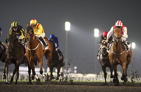 Courtesy: Dubai Racing Club