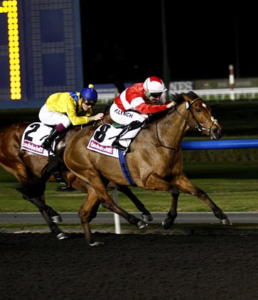Marnane delivers surprise Meydan win