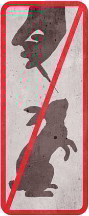 Stop testing products on animals