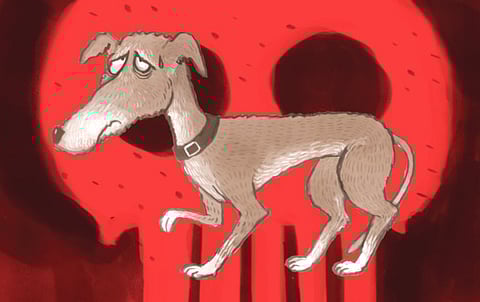 Focus: Animal rights