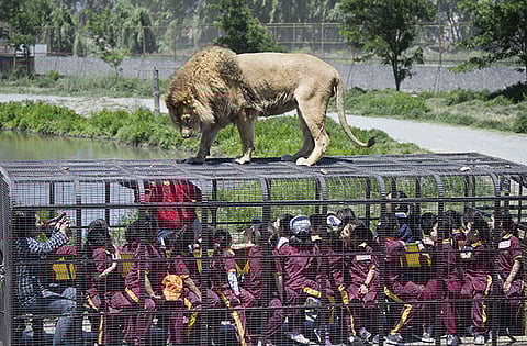 AFP PHOTO/MARTIN BERNETTI