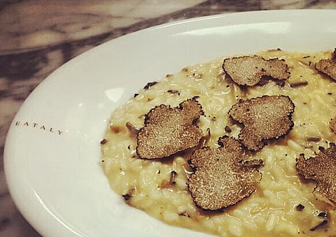 Love truffles? This is the best year yet