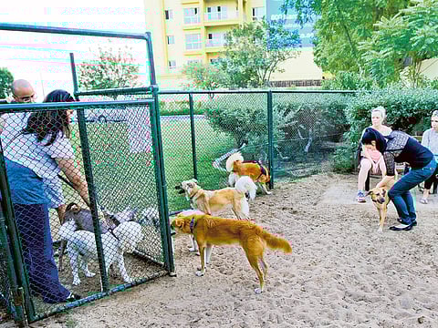 Ahmed Ramzan/Gulf News