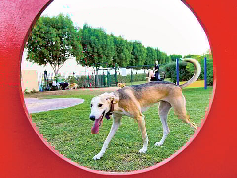 Ahmed Ramzan/Gulf News