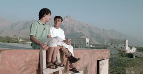 Diff review: Dolphins