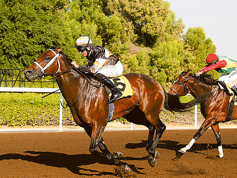 Zarina Fernandes/Gulf News