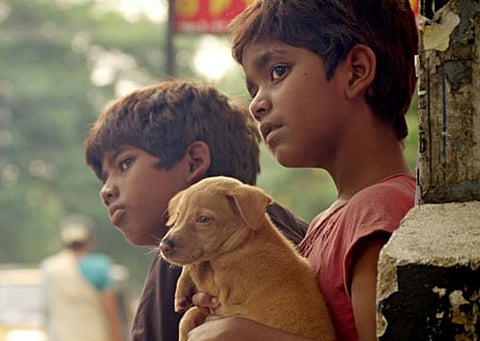 Dubai International Film Festival films to watch on Sunday