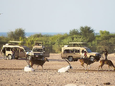 Abdel-Krim Kallouche/Gulf News