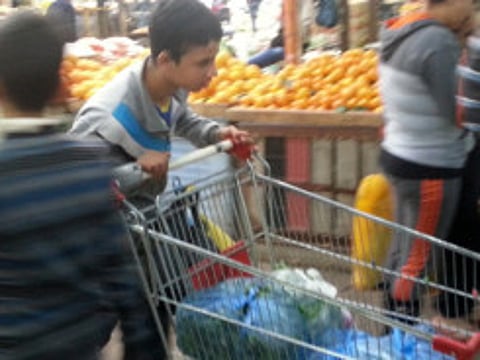 Behind the scourge of child labour in Palestine