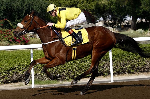 Virendra Saklani/Gulf News