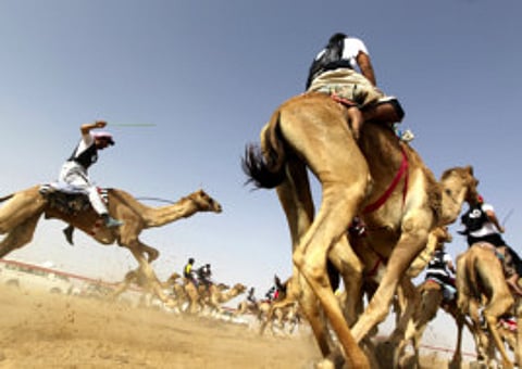 Courtesy: Tilal Liwa Hotel