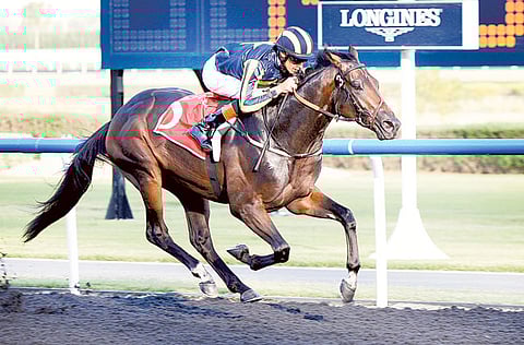 Virendra Saklani/Gulf News