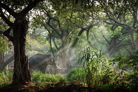 Using natural light for perfect composition