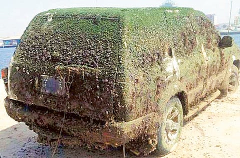 Image courtesy: Ahmad Saeed