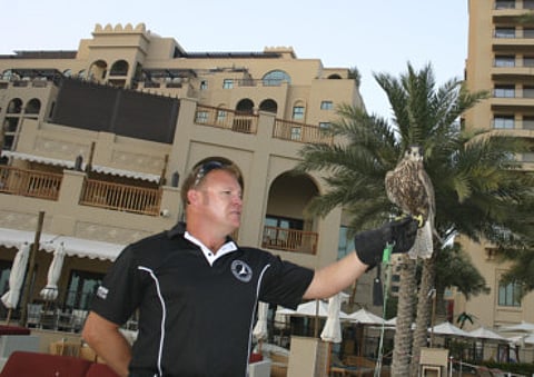 Cheryl Robertson/GN Focus