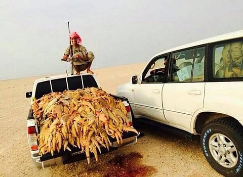 Saudi families appeal for lizard poachers’ release