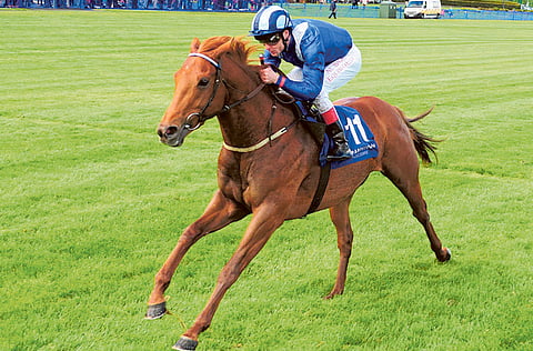 Pat Smullen in action on Mustajeeb during one of his victories in England.
