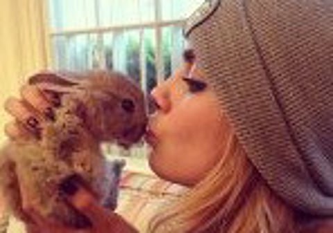 Cara Delevingne’s bunny gets into hot water