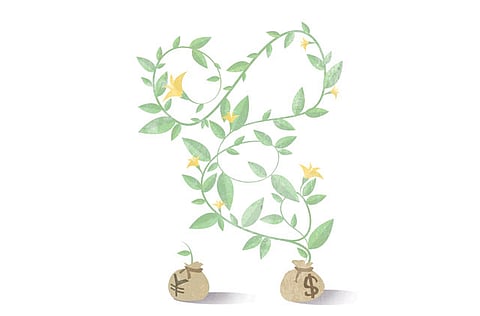 Dana A.Shams/©Gulf News