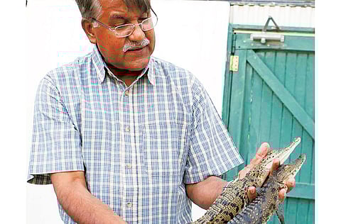 Arshad Ali/Gulf News