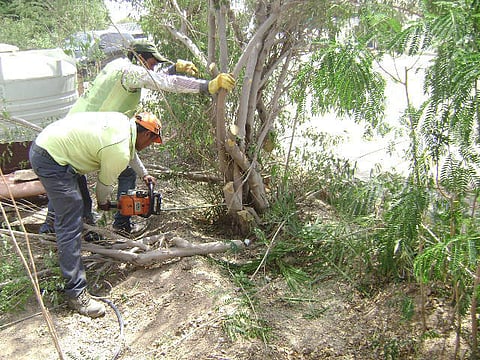 COURTESY Al Ain Muncipality