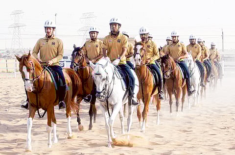 Zarina Fernandes/ Gulf News