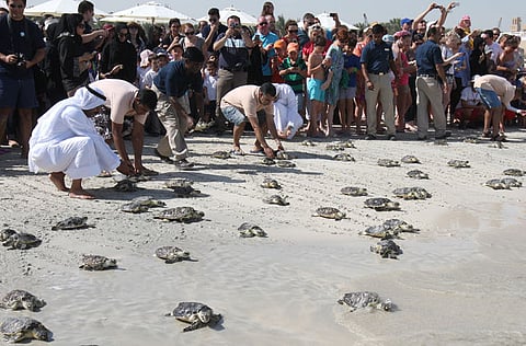 Pankaj Sharma/Gulf News