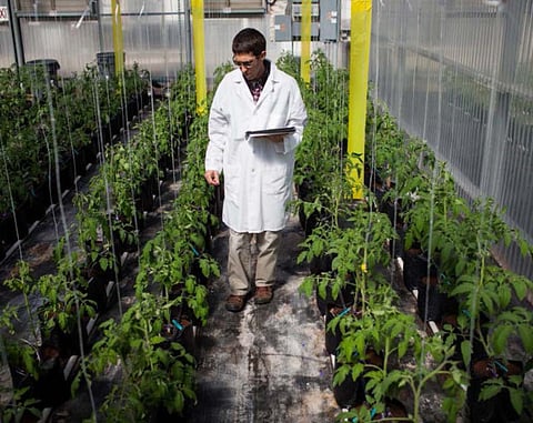 The right kind of plant genes