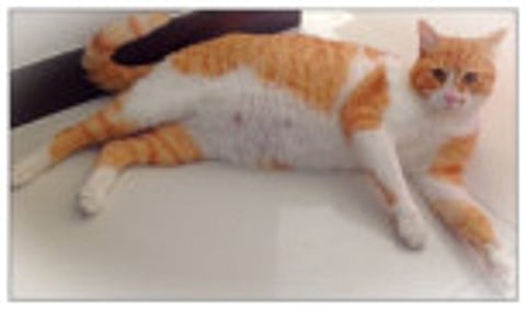 Overlooked, but still wonderful