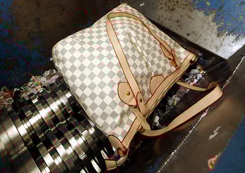 zarina fernandes/xpress