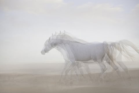 The myriad shades of day and night